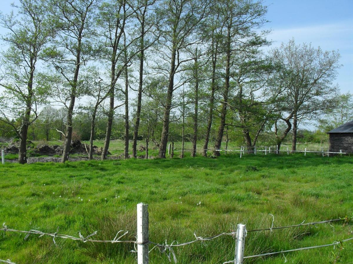 Ferienhof Schlachter Berumbur Exteriör bild